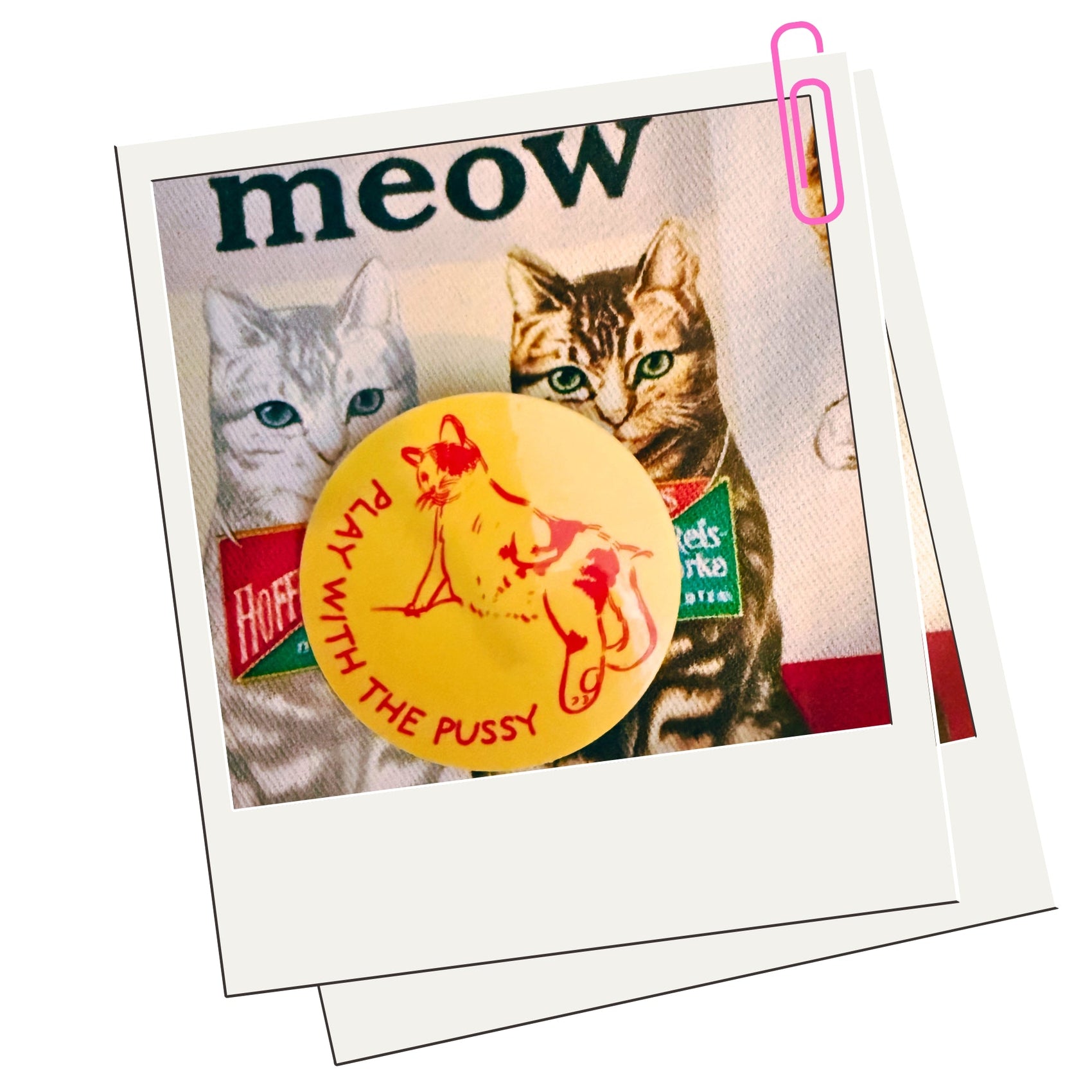 Cat Collection - Stickers