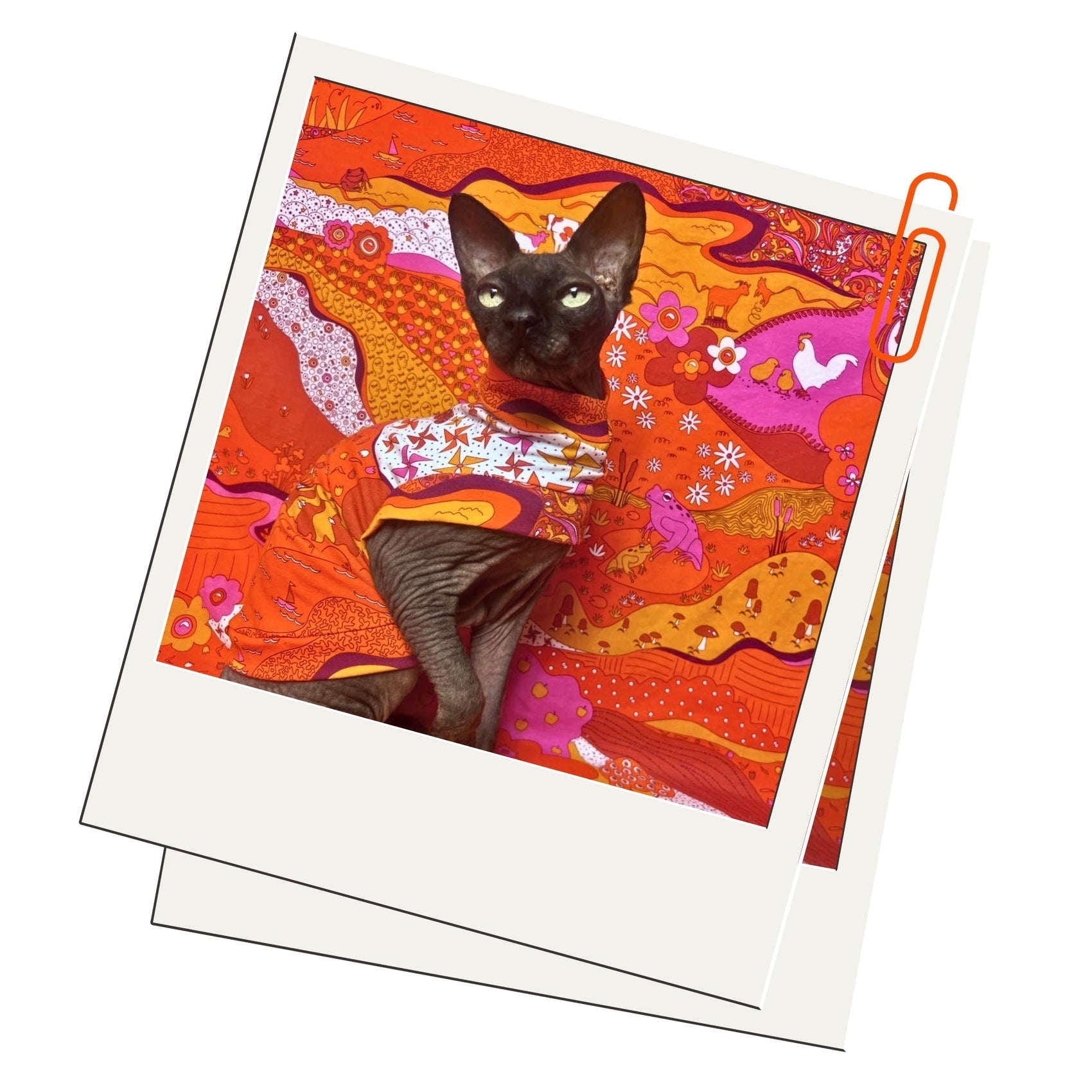 Cat Collection - For The Cats