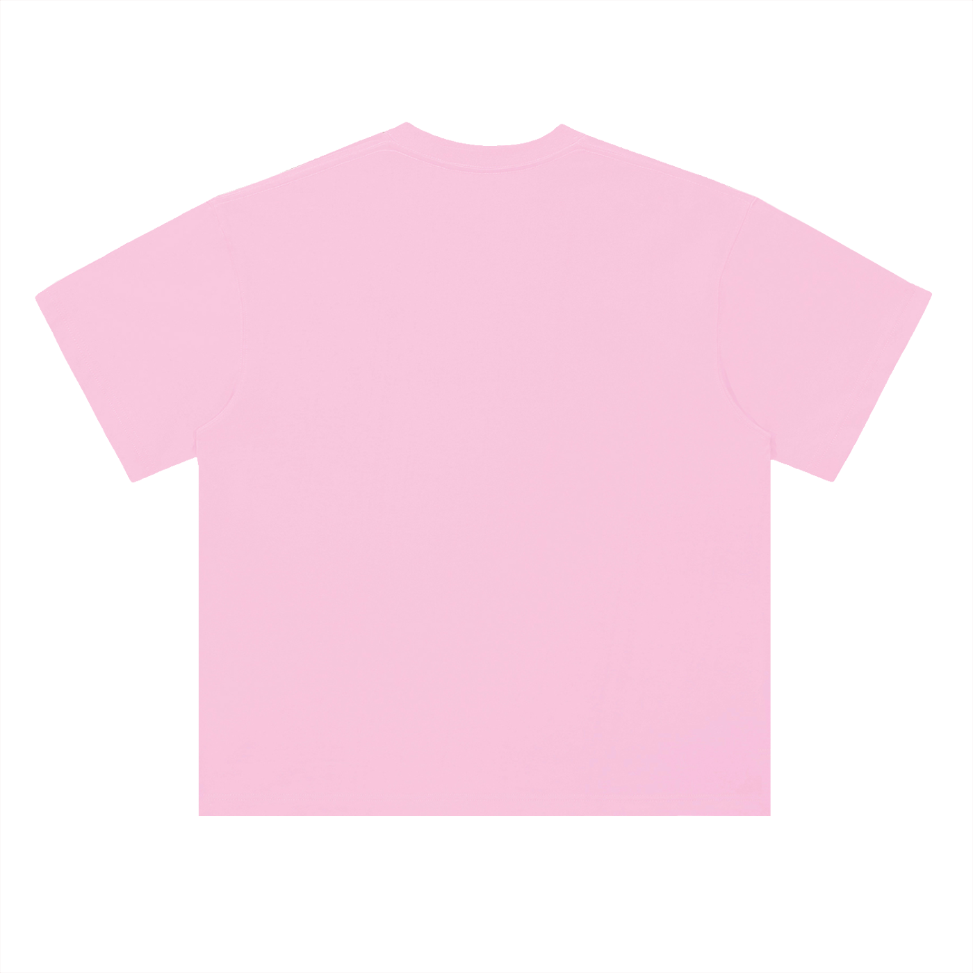 Naked Cat T-Shirt (Team Taco)
