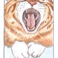 Cat Tarot Deck