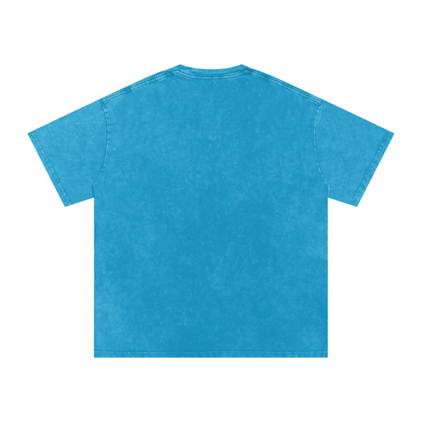 Be Nice to Cats Snow Washed Oversized T-Shirt