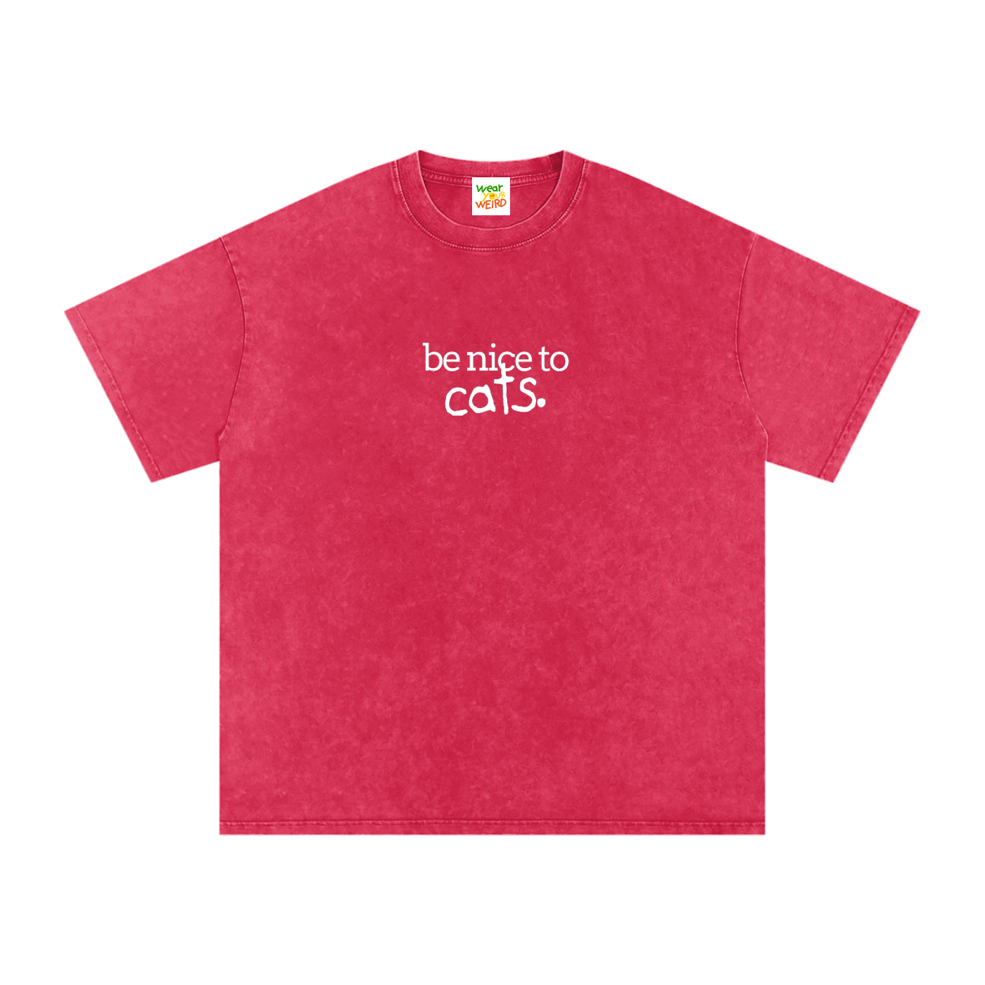 Be Nice to Cats Snow Washed Oversized T-Shirt