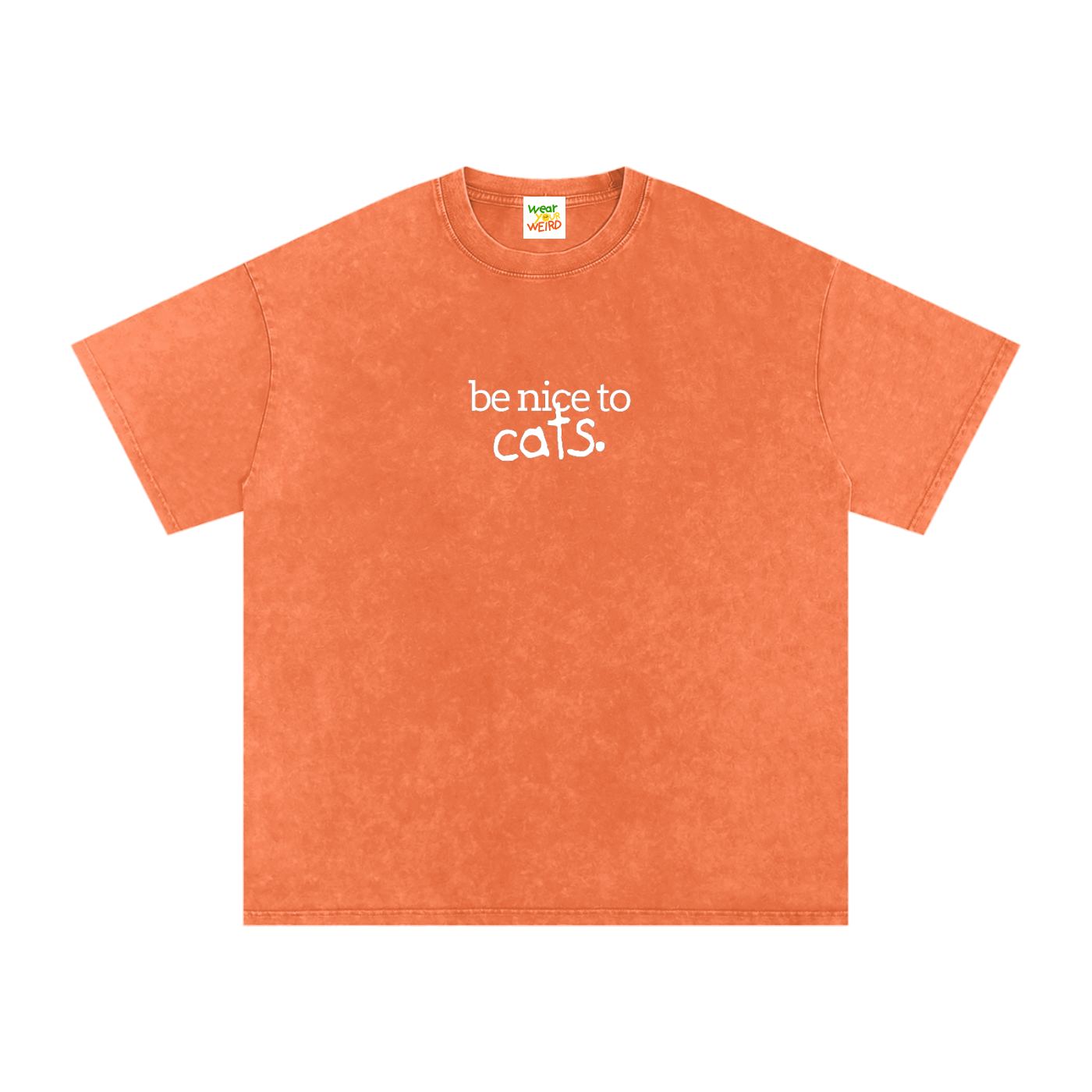 Be Nice to Cats Snow Washed Oversized T-Shirt