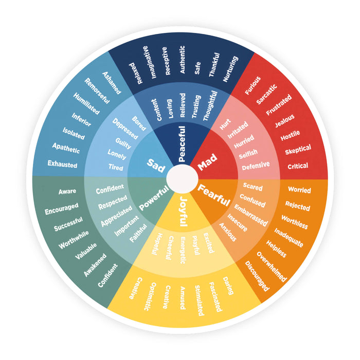 Feelings Wheel Rainbow Emotions Mental Health Sticker