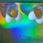 Broken Yolk Studs