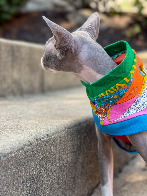 Cat Shirt Rainbow Landscape with Harness Hole (Matching Human Sweatshirt purchased separately)