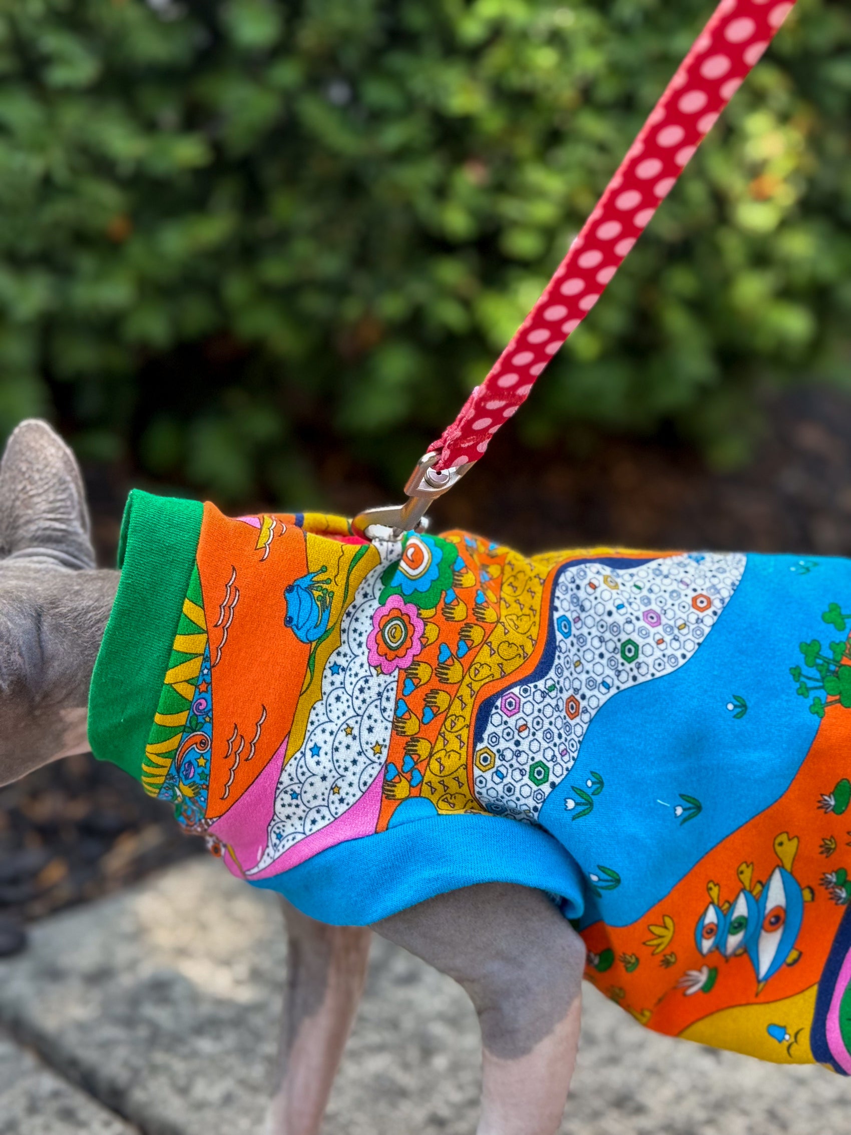 Cat Shirt Rainbow Landscape with Harness Hole (Matching Human Sweatshirt purchased separately)