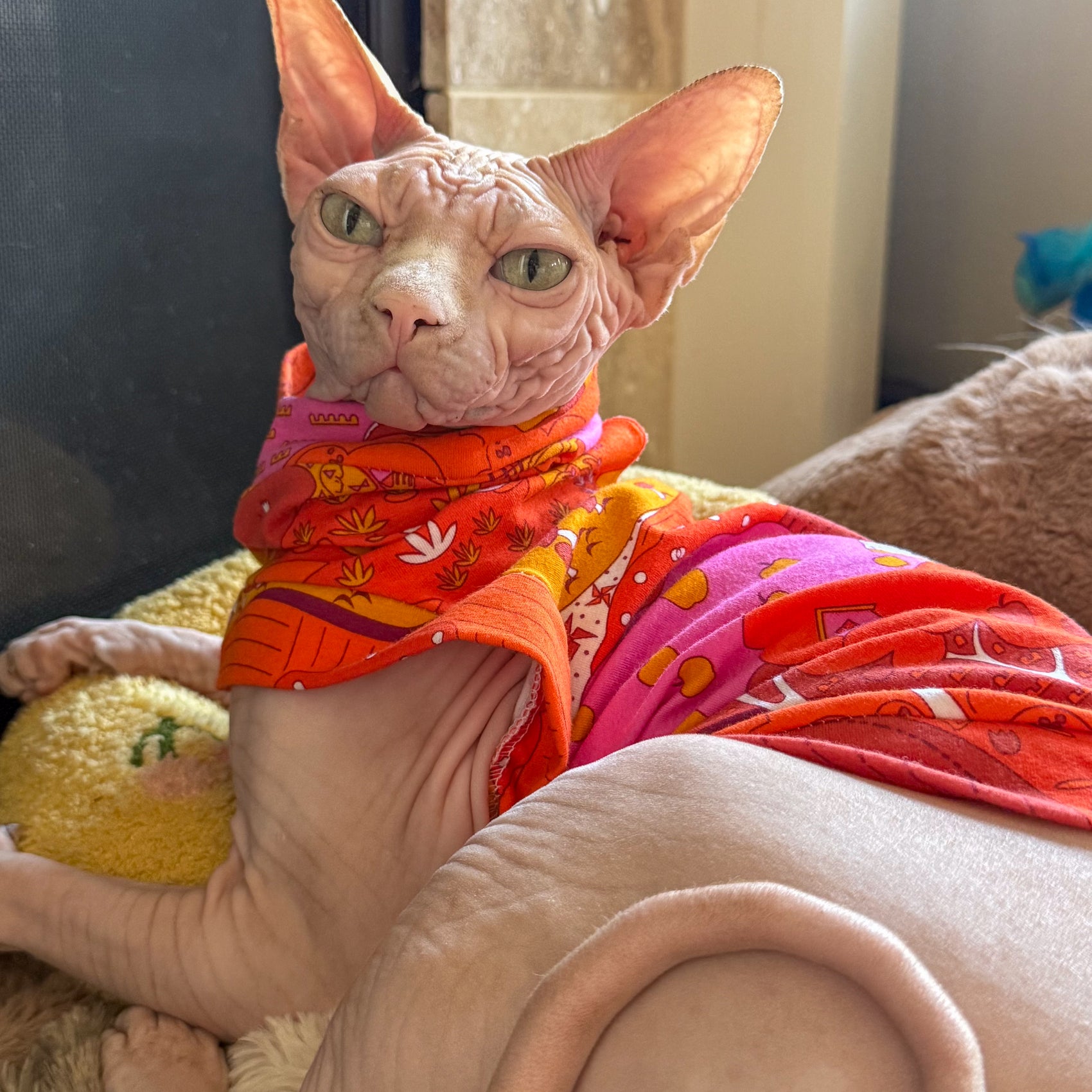 Cat Shirt Landscape Warm Tones (Matching Human T-shirt purchased separately)