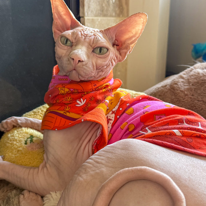 Cat Shirt Landscape Warm Tones (Matching Human T-shirt purchased separately)