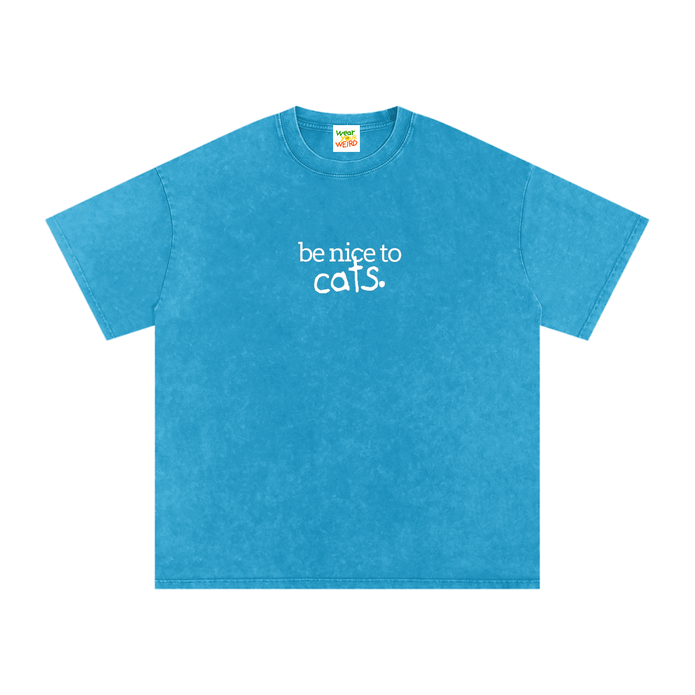 Be Nice to Cats Snow Washed Oversized T-Shirt