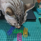 Colorful Springs Cat Toys