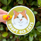 Adopt Old Cats Vinyl Sticker