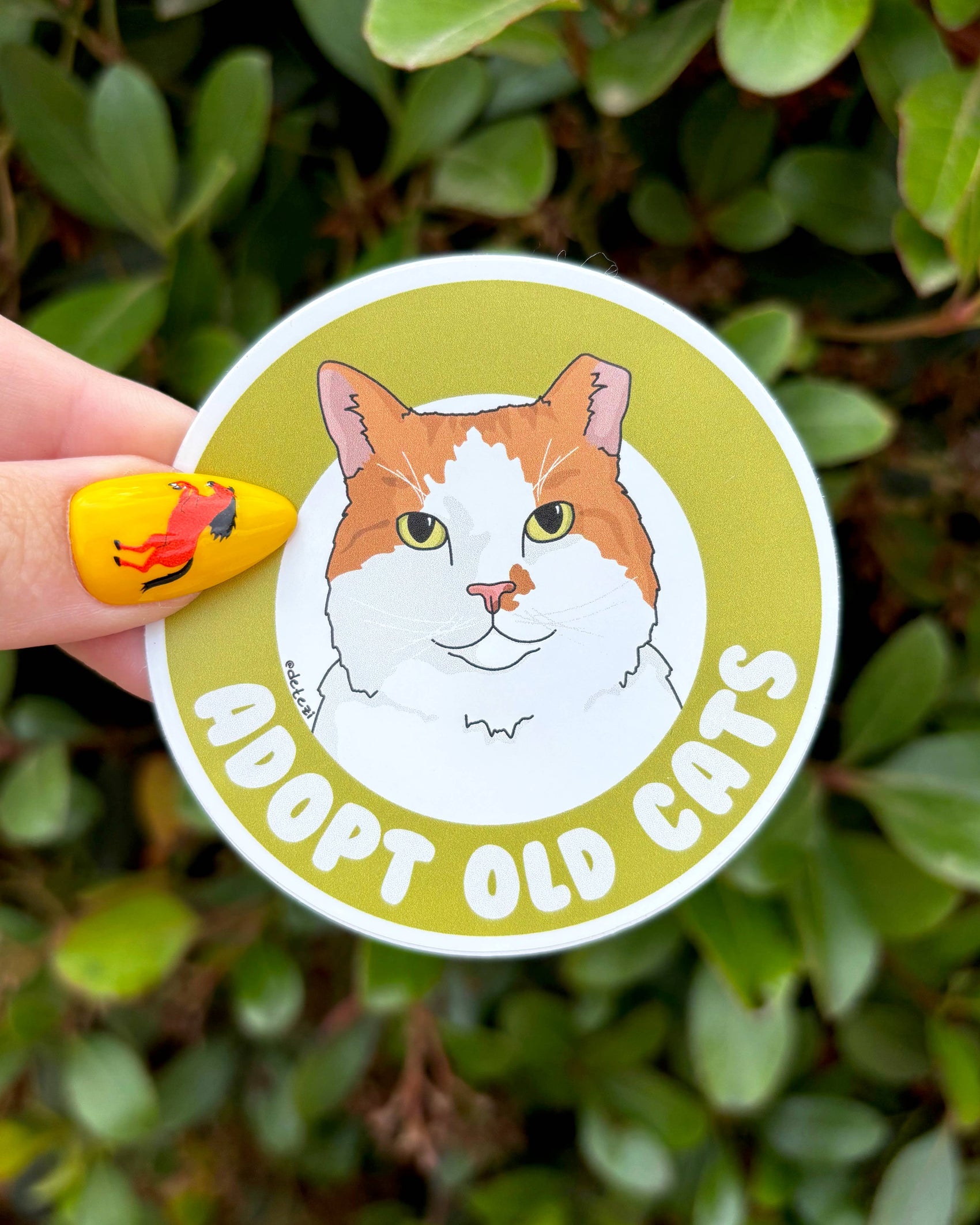 Adopt Old Cats Vinyl Sticker