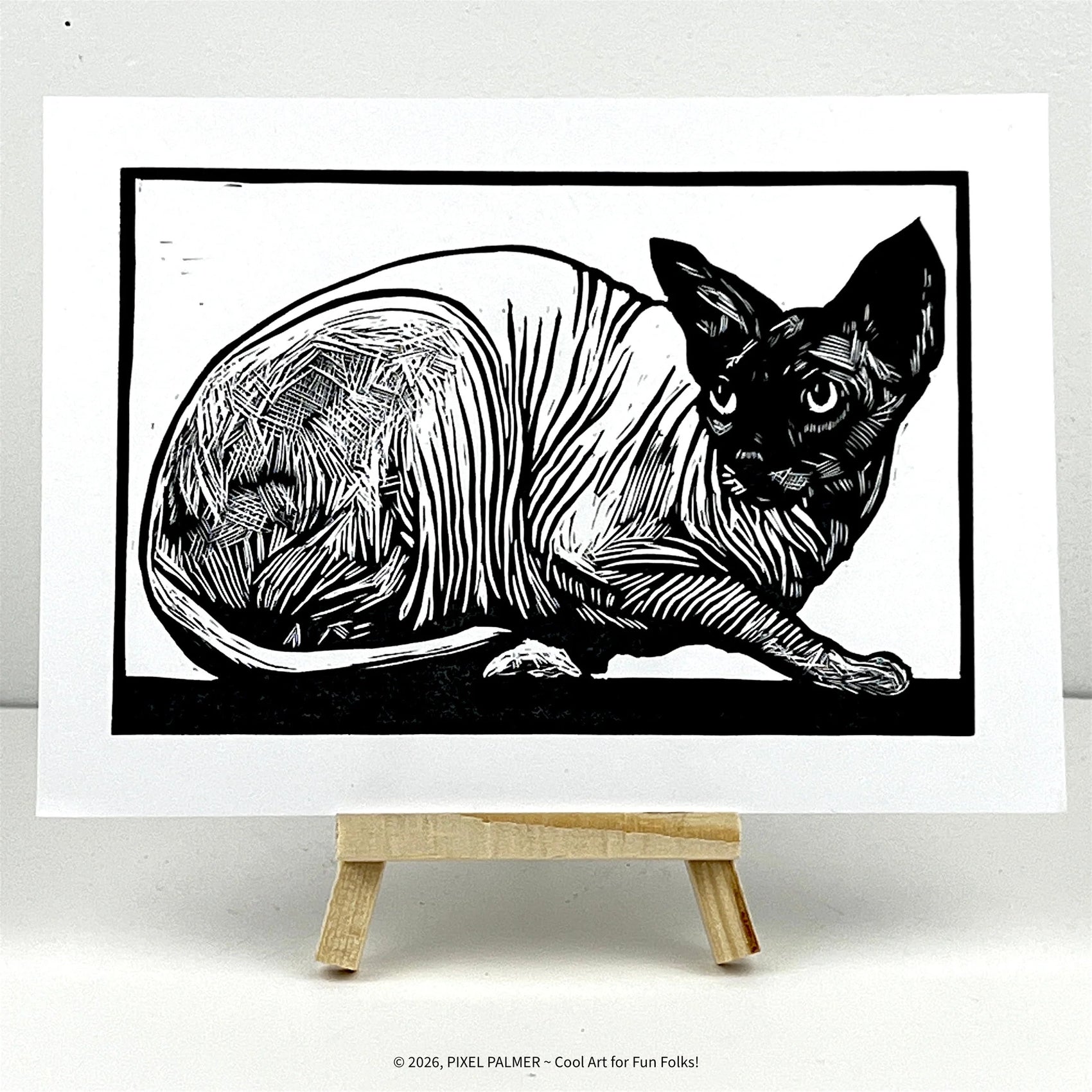 The Sphynx Cat