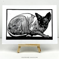 The Sphynx Cat